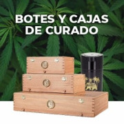 Cajas de Secado y Curado