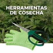 Herramientas de Secado y Manicurado
