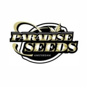 Semillas autoflorecientes Paradise Seeds