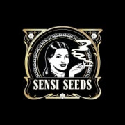 Semillas autoflorecientes Sensi Seeds