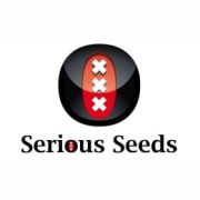 Semillas autoflorecientes Serious Seeds