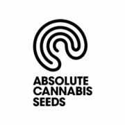 Semillas regulares Absolute Seeds