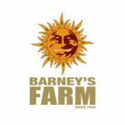 Semillas regulares Barneys Farm