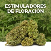 Estimulantes de Floración