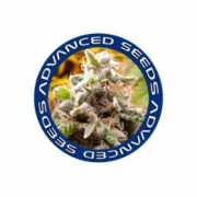 Semillas CBD Advanced Seeds