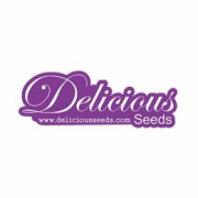 Semillas CBD Delicious Seeds