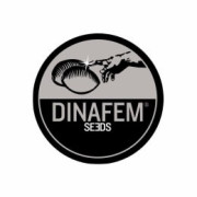 Semillas CBD Dinafem