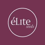 Semillas CBD Elite Seeds