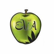 Semillas CBD Eva Seeds