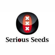 Semillas CBD Serious Seeds