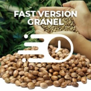 Semillas Fast Version a Granel