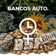 Bancos Autos