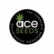 Semillas autoflorecientes Ace Seeds