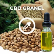Semillas CBD Granel