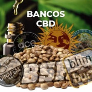 Bancos CBD