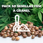 Pack 50 semillas feminizadas