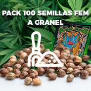 Pack 100 semillas feminizadas