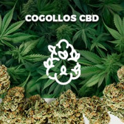 Flores CBD