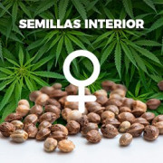 Semillas Interior