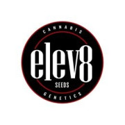 Elev8 Seeds