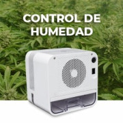Humedad
