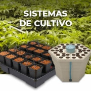 Sistemas de cultivo