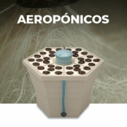 Aeropónicos