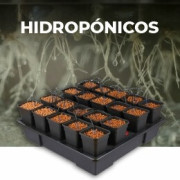 Hidropónicos