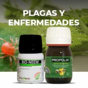 Plagas y enfermedades