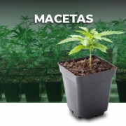 Macetas