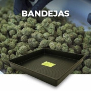 Bandejas