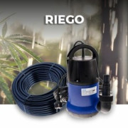 Riego