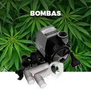 Bombas