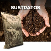 Sustratos