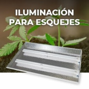 Iluminación esquejes