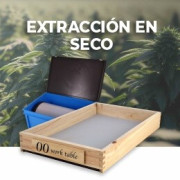 Extracción en seco