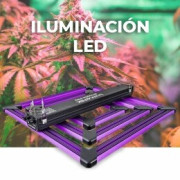 Led marihuana