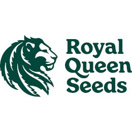Royal Queen Seeds