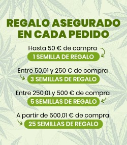 Regalo asegurado en cada pedido
