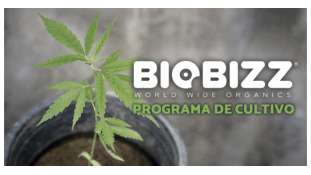 ¿Cómo usar la tabla de cultivo Biobizz?