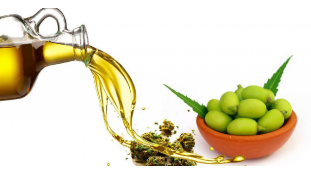 ¿Qué es el Aceite de Neem? Aplicaciones