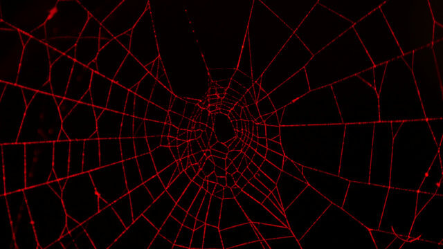 Araña Roja en cultivos de Marihuana
