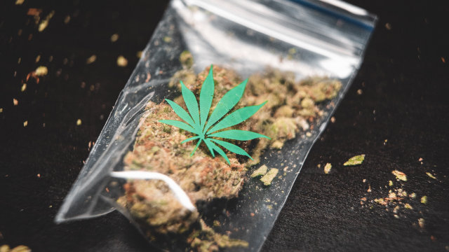 Todo sobre el test de drogas de la DGT y el cannabis