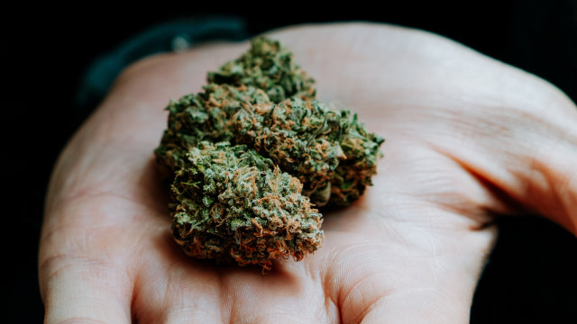 Como ocultar el olor de la marihuana - Ideas y Trucos