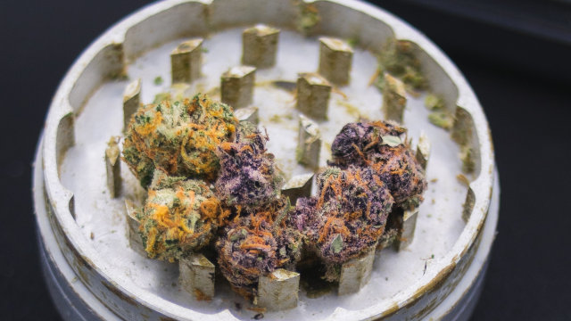 Cómo triturar marihuana sin un grinder - Cómo hacer tu propio grinder