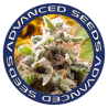Advanced Seeds